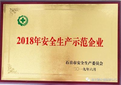 德永盛紡織2018年安全生產(chǎn)示范企業(yè)